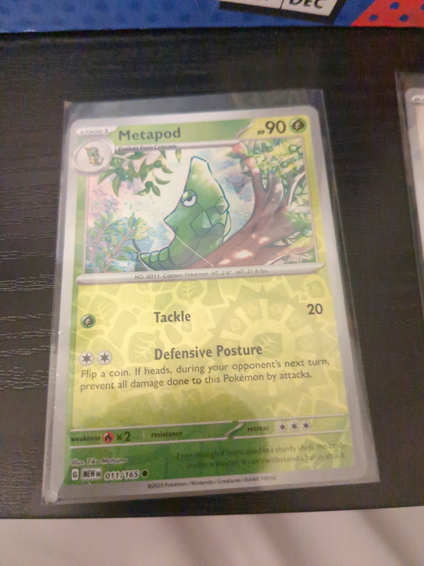 Metapod Reverse Holo