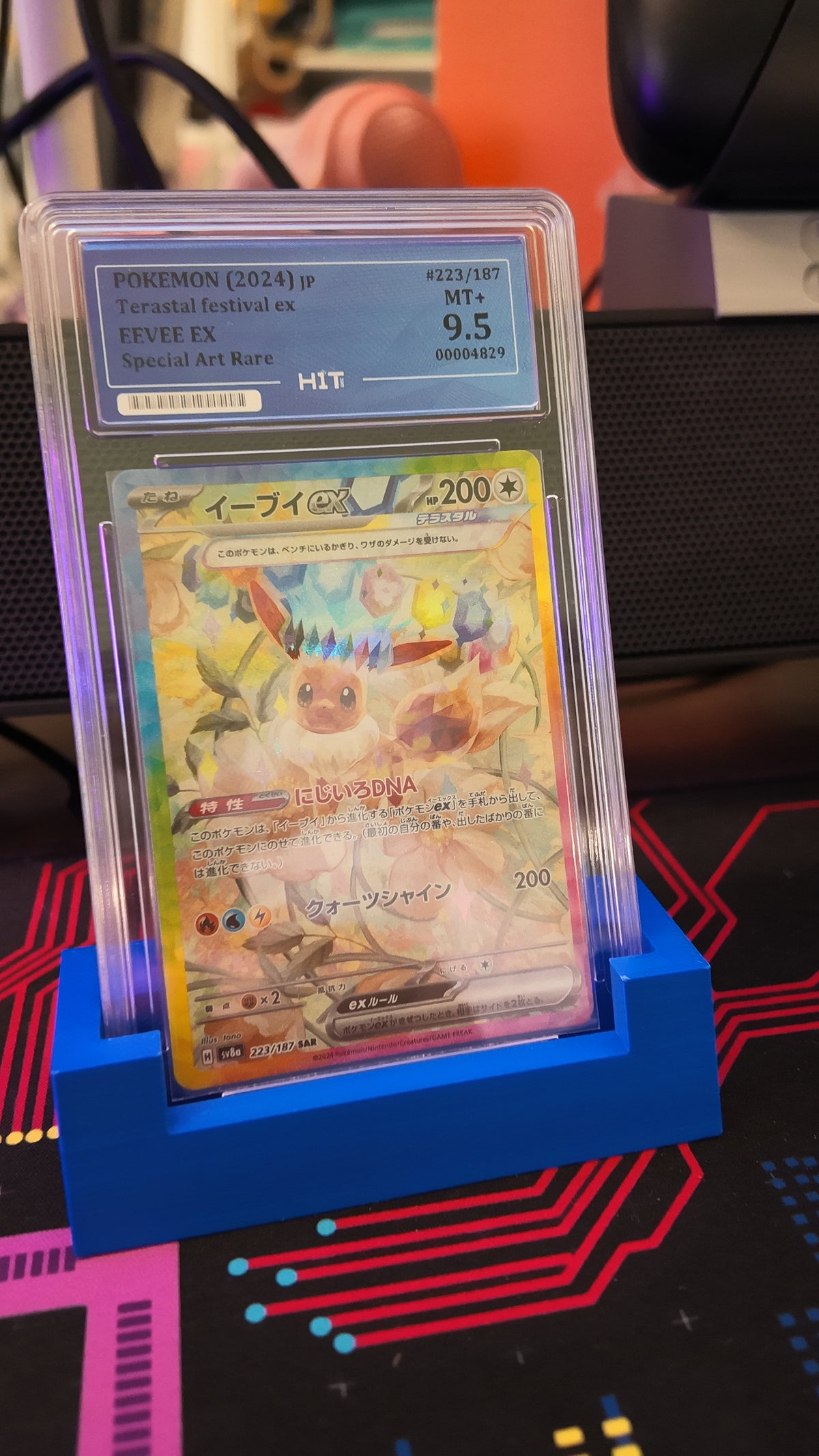 Eevee ex (JP) - HIT GCC 9.5
