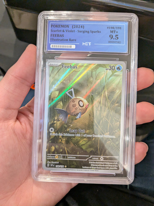 Feebas HIT GCC Graded 9.5 MT+