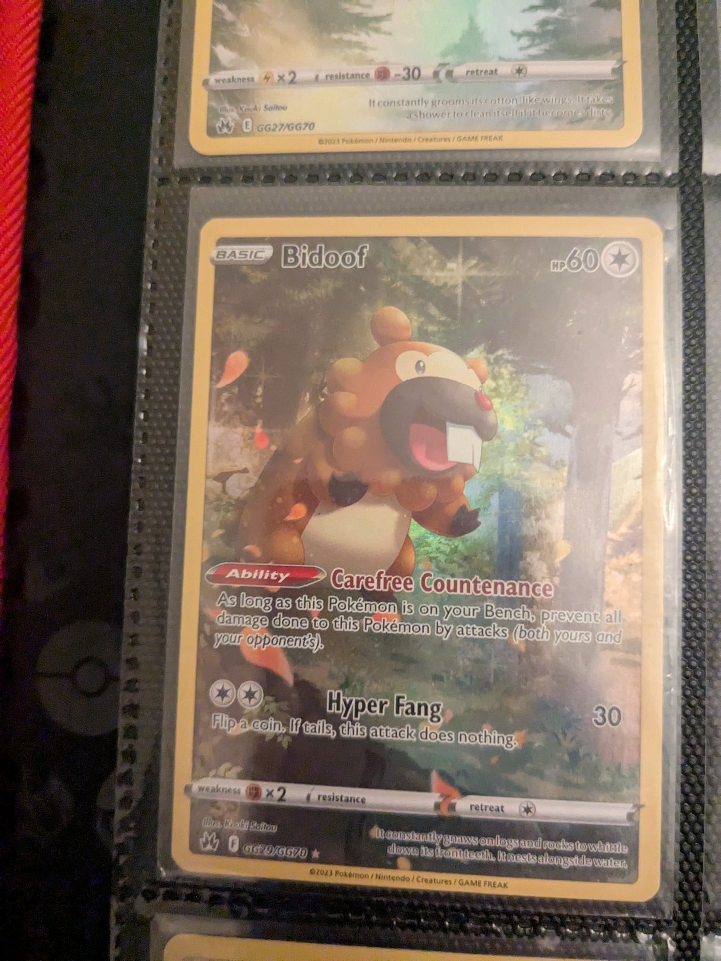 Bidoof