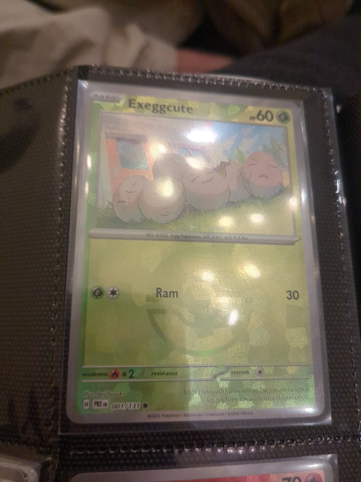 Exeggcute (Prismatic evolutions)